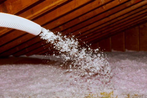 Best Blown-in Insulation in North Richland Hills, TX