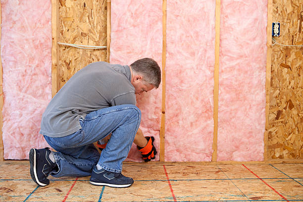 Best Cellulose Insulation in North Richland Hills, TX